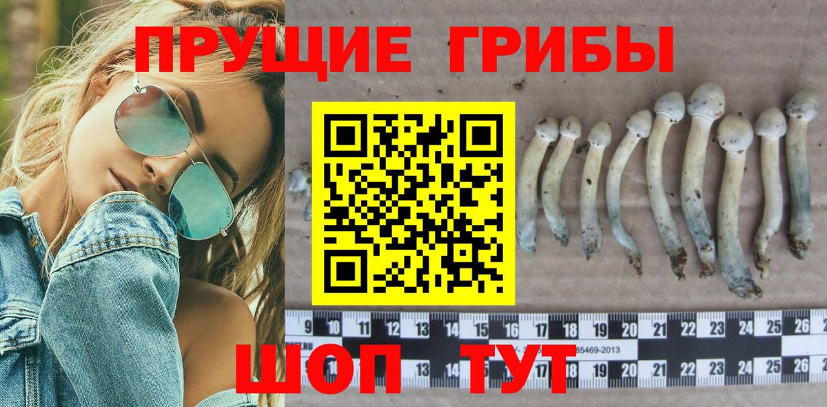 Галлюциногенные грибы ЛСД  где купить наркоту  Георгиевск  Вход с VPN 