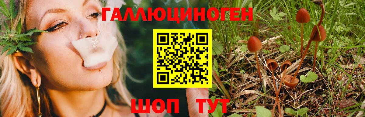 Псилоцибиновые грибы мухоморы Георгиевск
